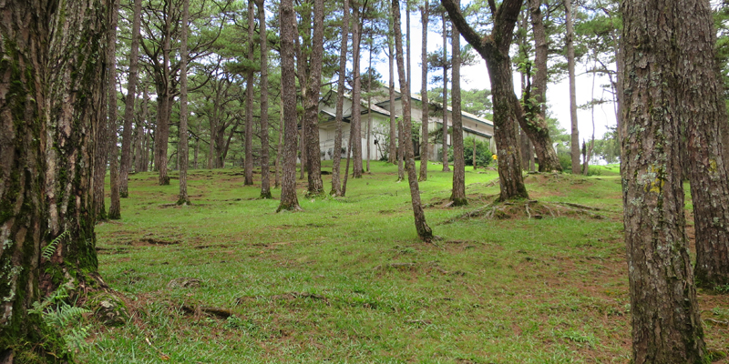 Community Issues and Suggestions on How to Solve Them